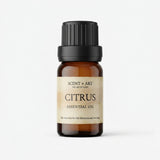 Citrus fragrance oil in a 10ml amber glass bottle, bright citrus perfume oil for making your own perfume, SCENT + ART