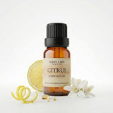 Citrus fragrance oil in a 10ml amber glass bottle, bright citrus perfume oil for making your own perfume, SCENT + ART